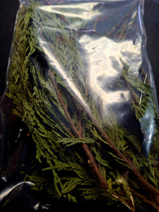 Loose Cedar and Clusters