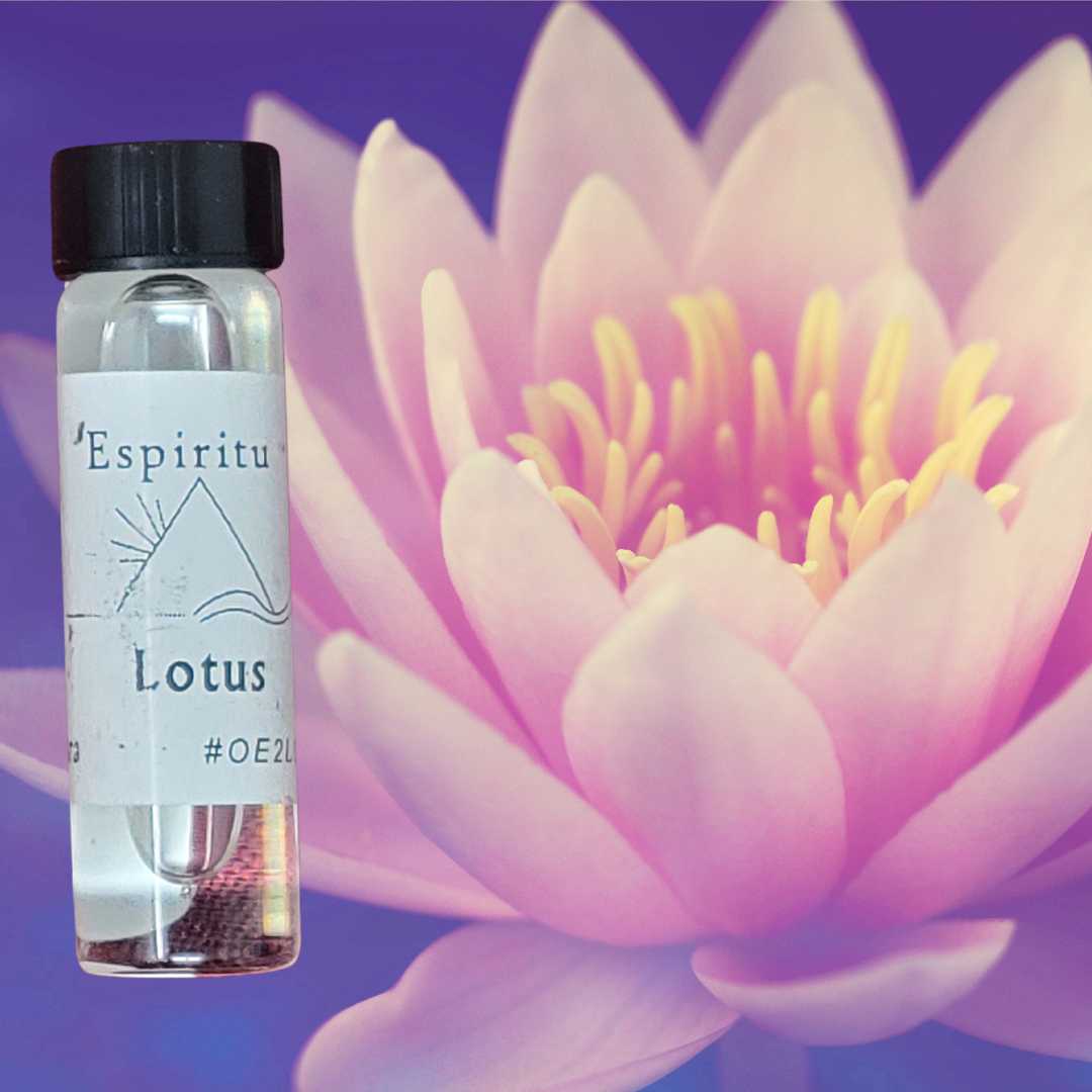 Lotus Spell Oil