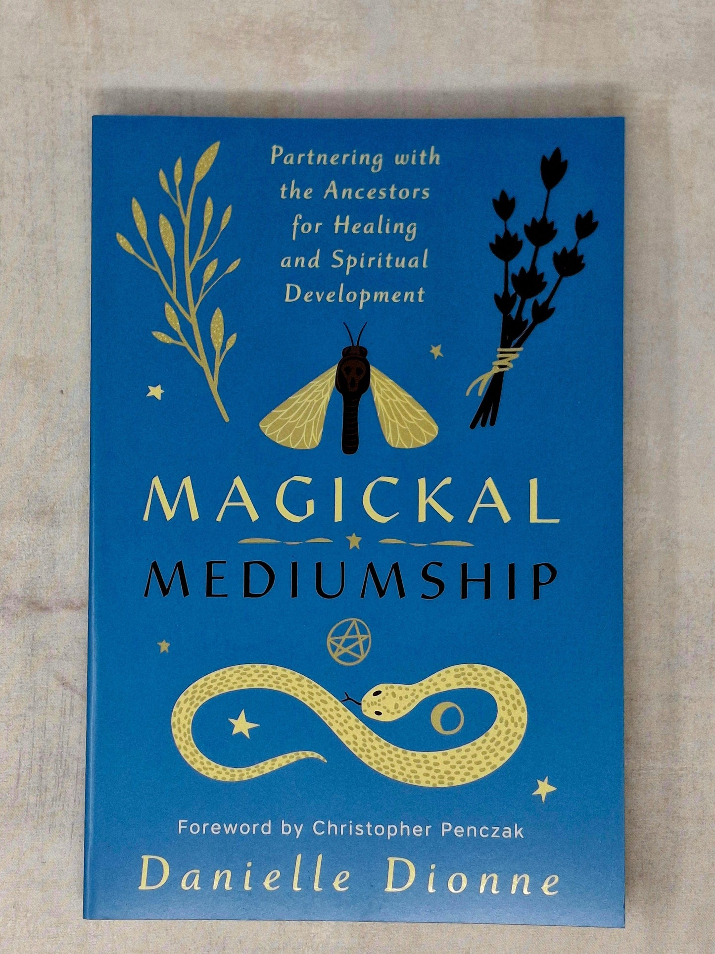 Magickal Mediumship by Danielle Dionne (Author), Christopher Penczak (Foreword by)