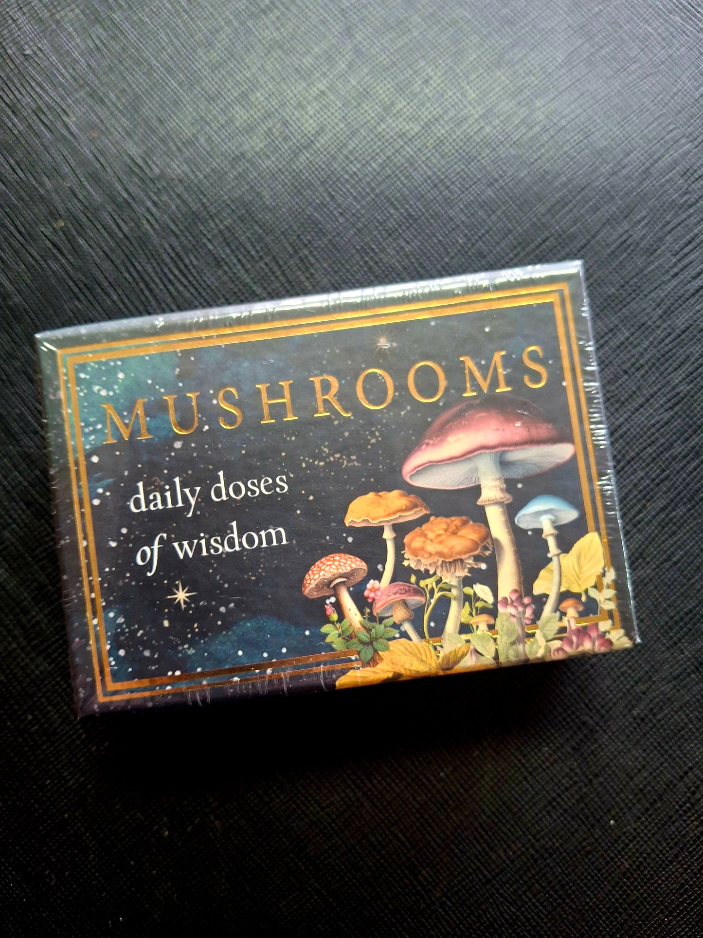 Mushrooms Daily Doses of Wisdom (36 Gilt-Edged Full-Color Cards)