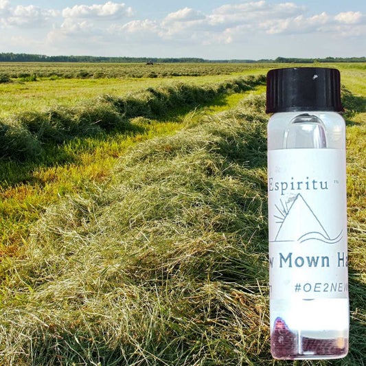 New Mown Hay Spell Oil