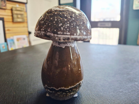 Orbicular Jasper Mushrooms