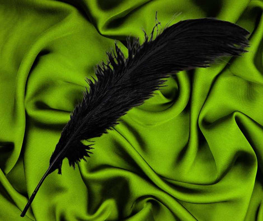 Ostrich Black Feather 10-14"