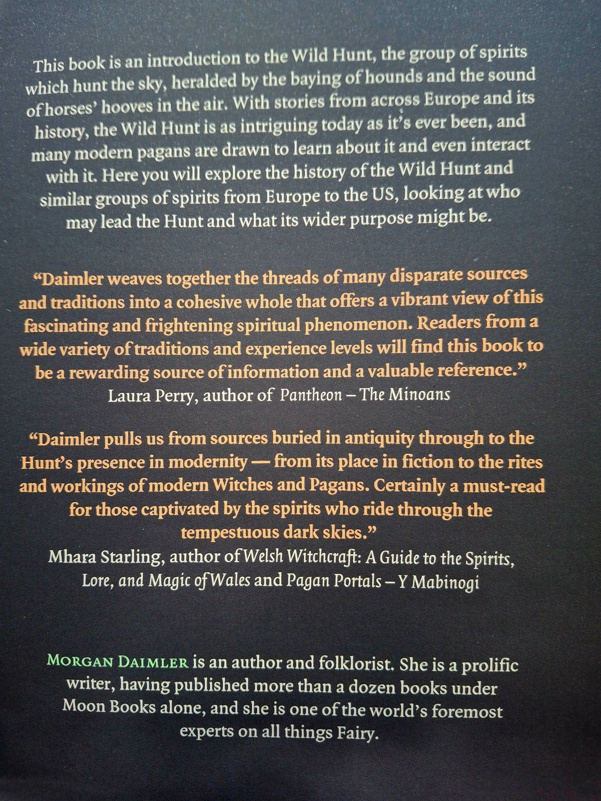 Pagan Portals - The Wild Hunt By Morgan Daimler
