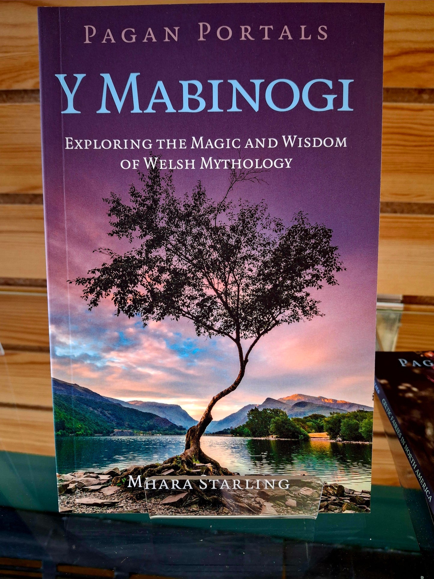 Pagan Portals: Y Mabinogi Exploring the Magic and Wisdom of Welsh Mythology By Mhara Starling