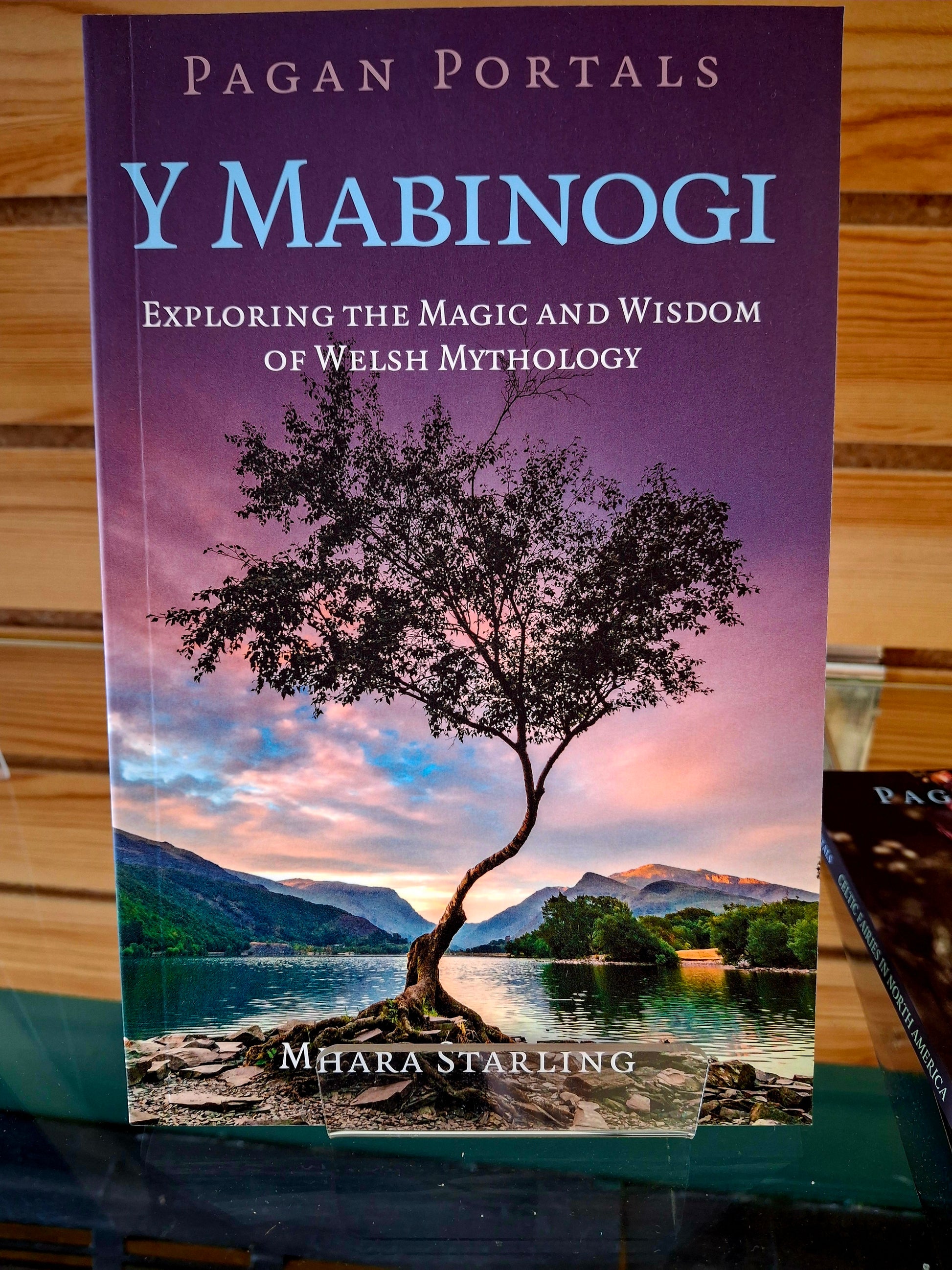 Pagan Portals: Y Mabinogi Exploring the Magic and Wisdom of Welsh Mythology By Mhara Starling