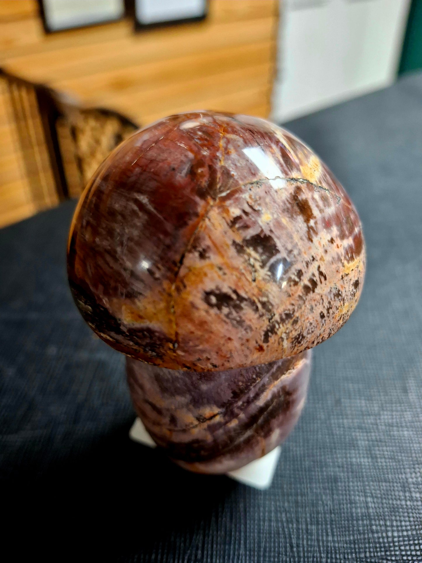 Petrified Wood Mushrooms