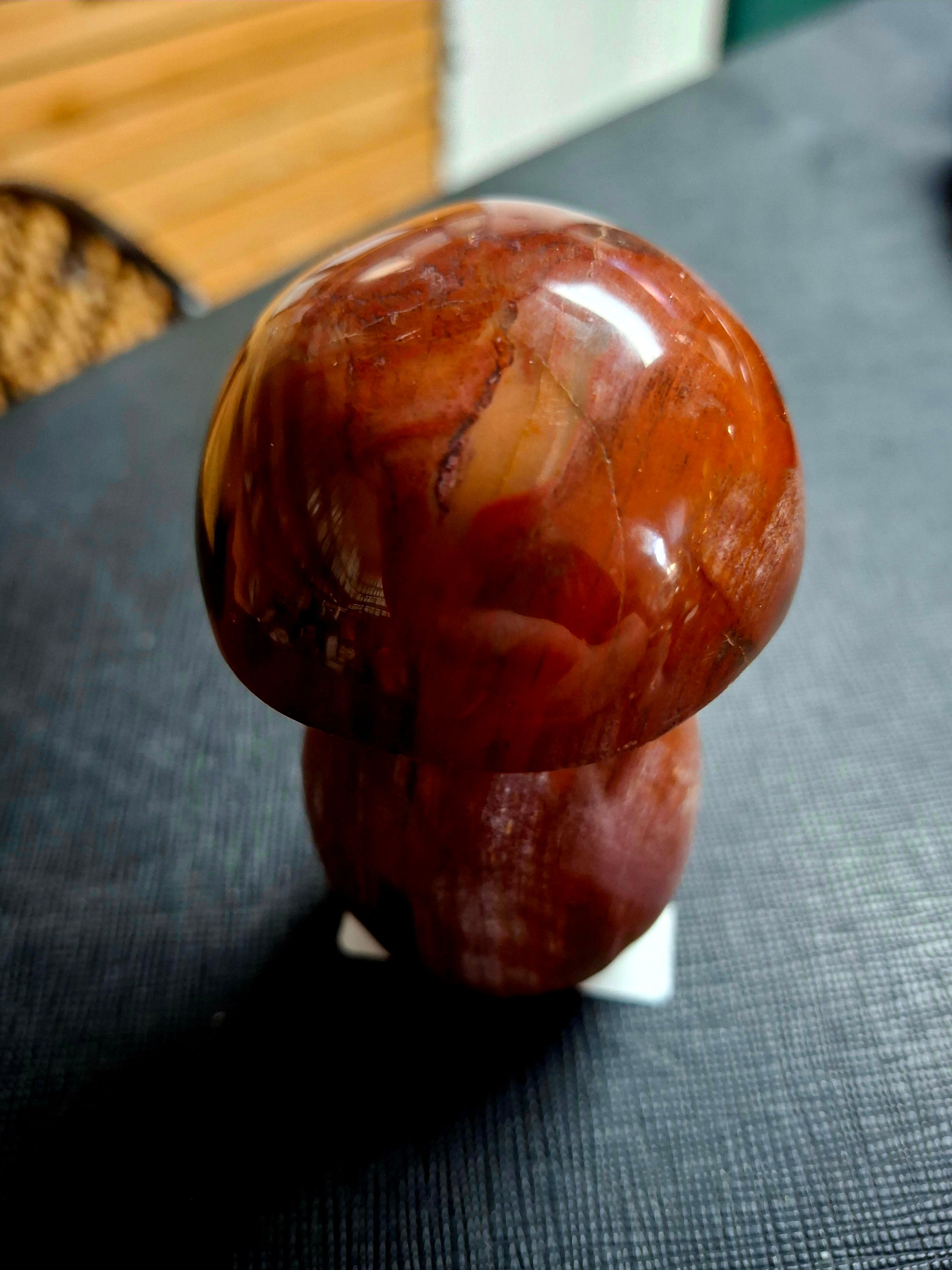 Petrified Wood Mushrooms