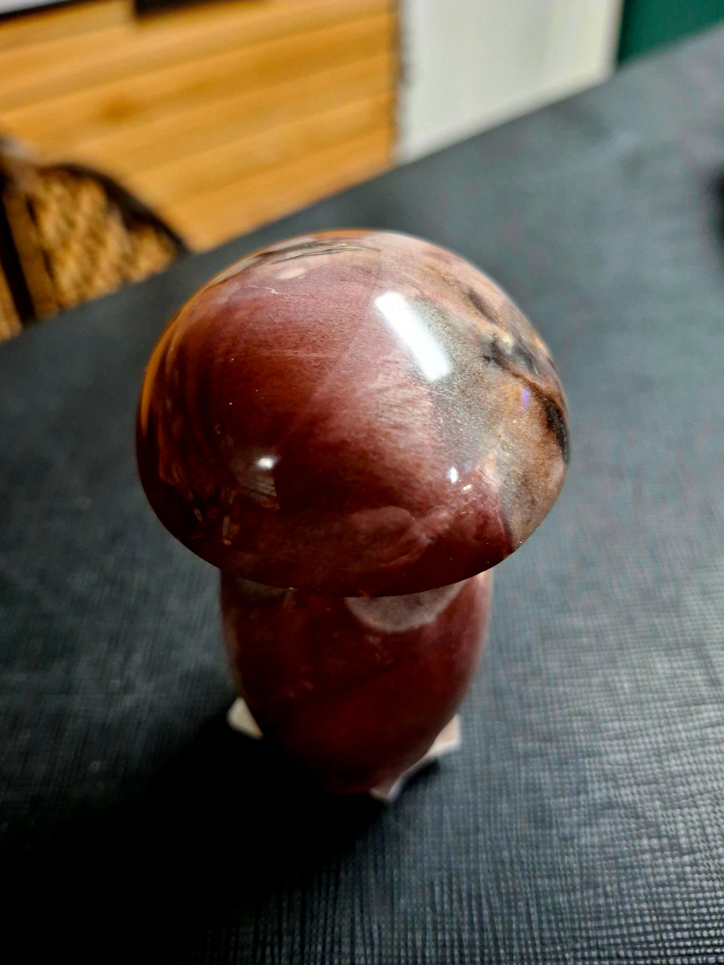 Petrified Wood Mushrooms