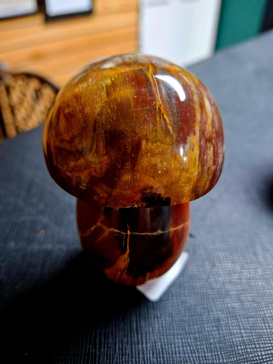 Petrified Wood Mushrooms