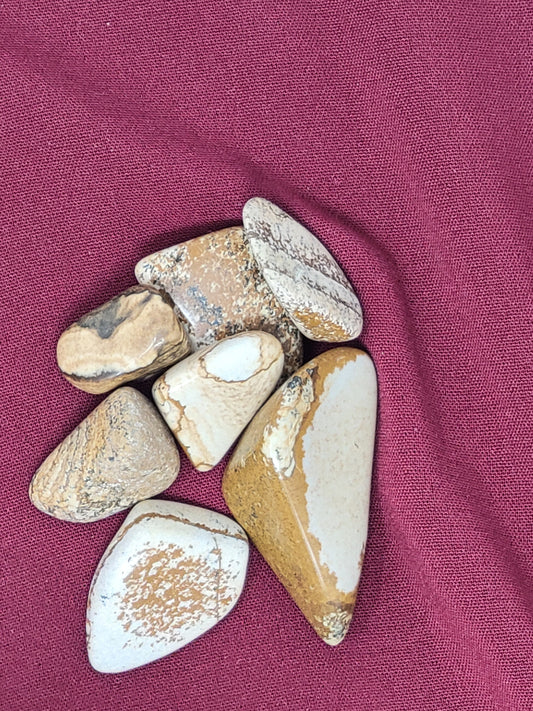 Picture Jasper Tumbled