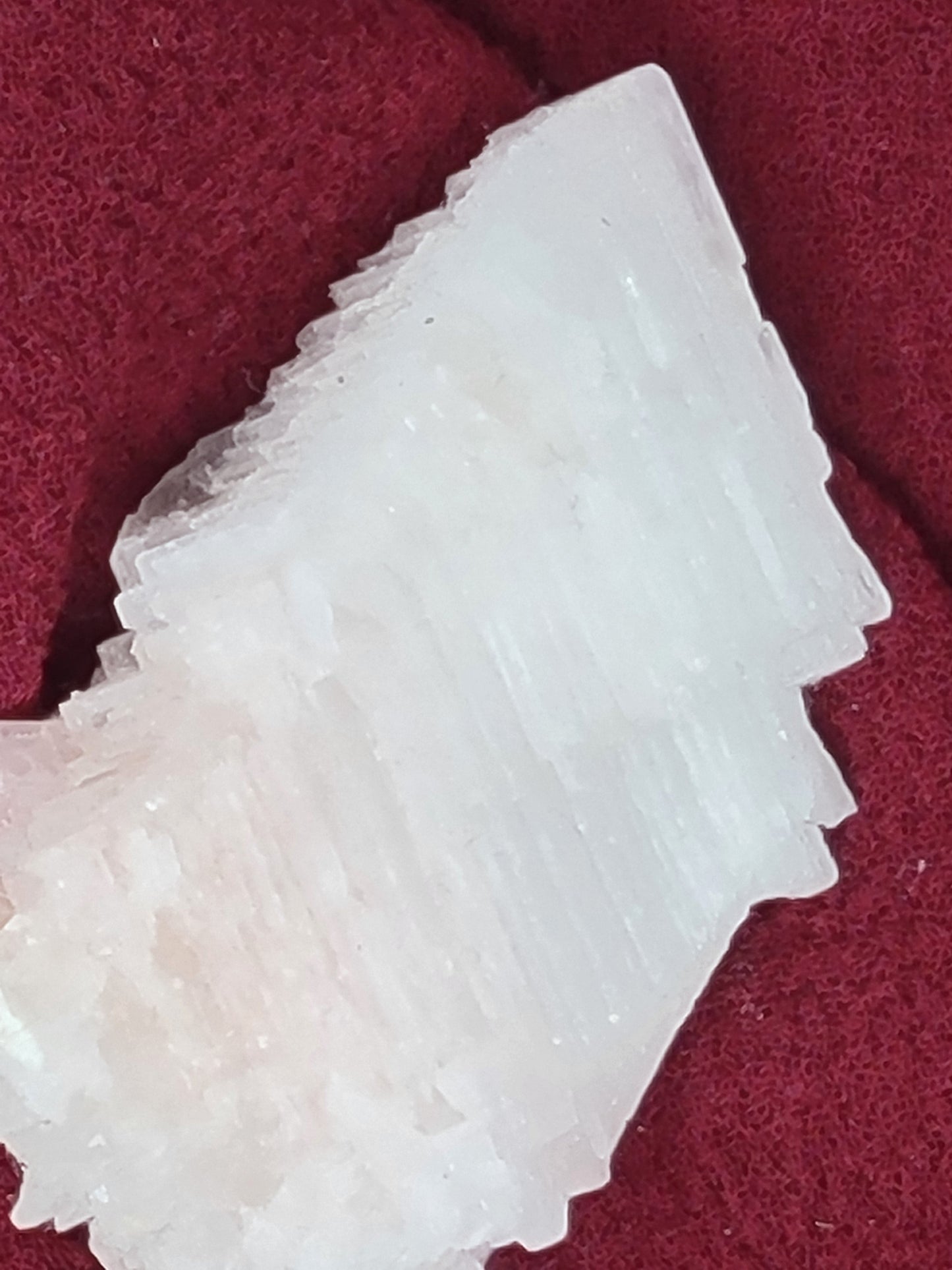 Pink Halite Specimens