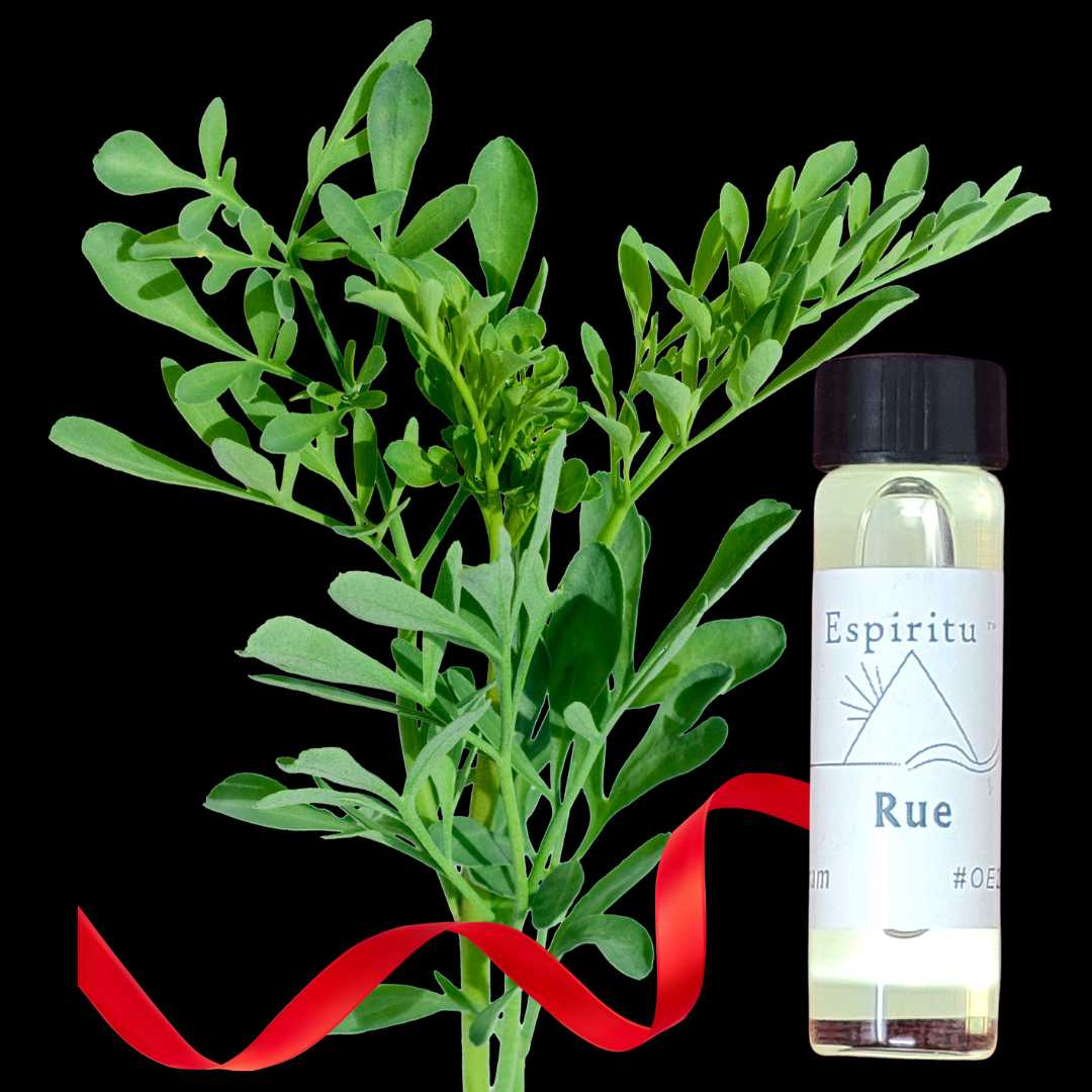 Rue Spell Oil