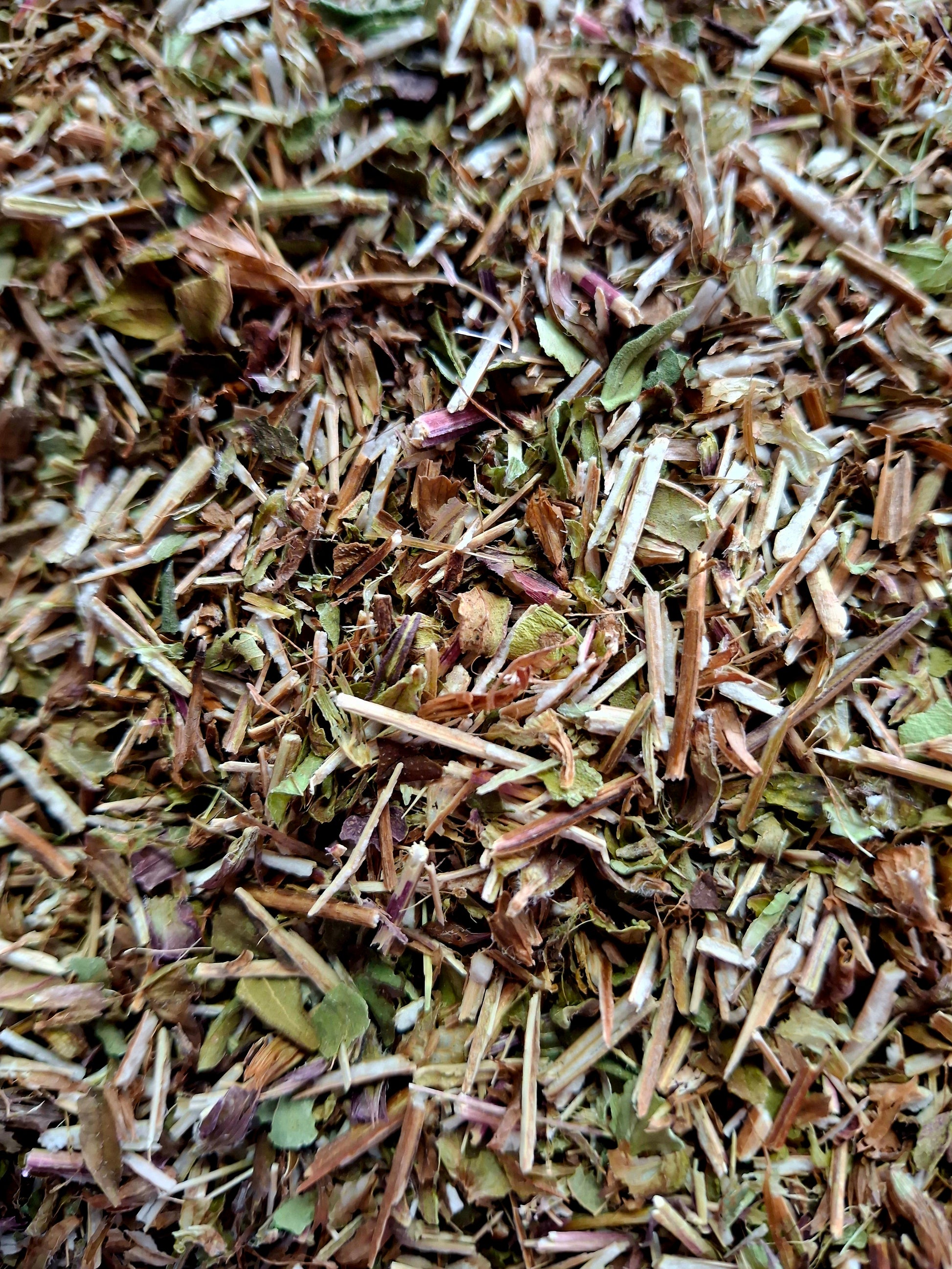 Self Heal , Heal-all - (Prunella vulgaris)