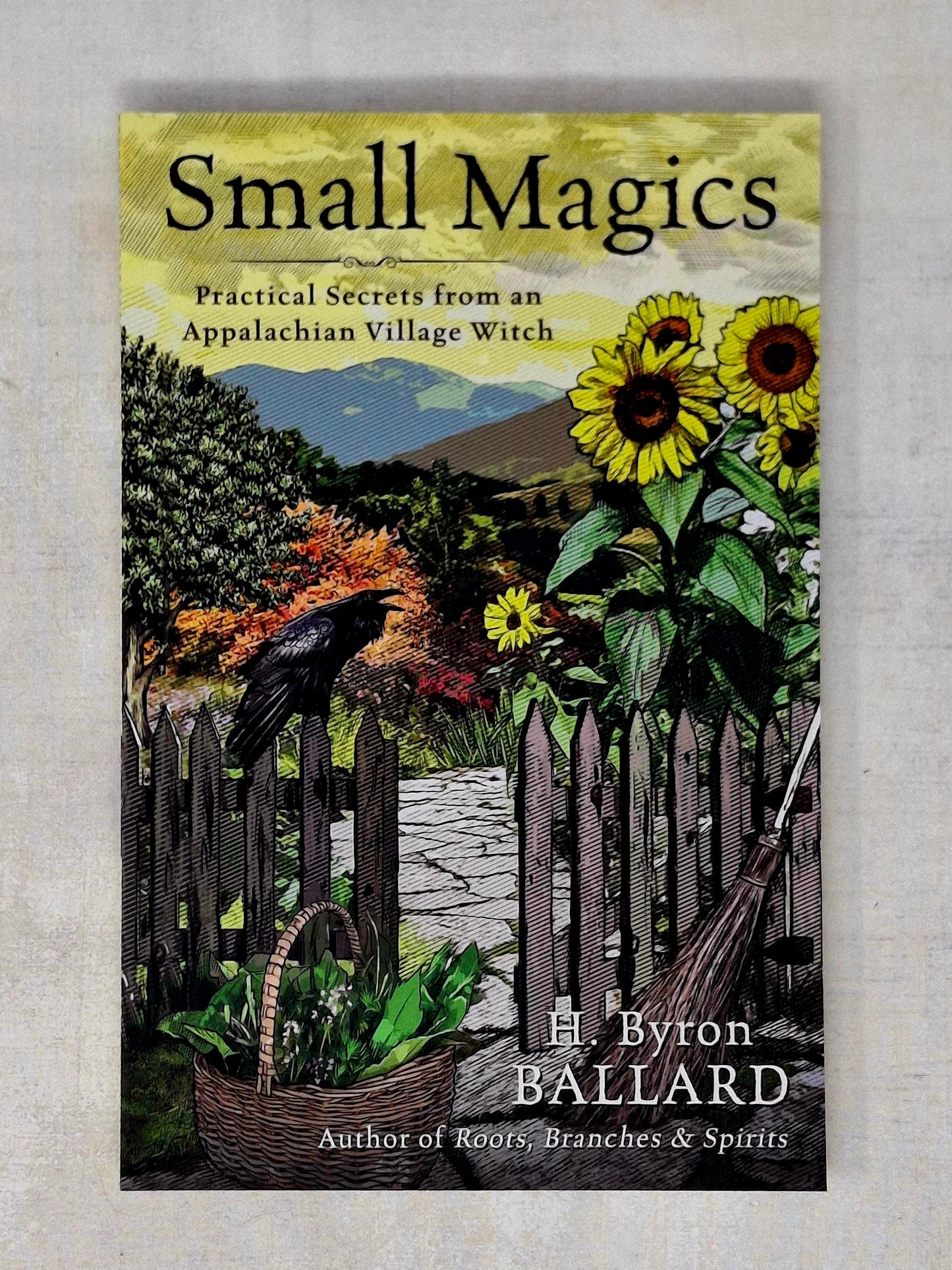 Small Magics by H. Byron Ballard