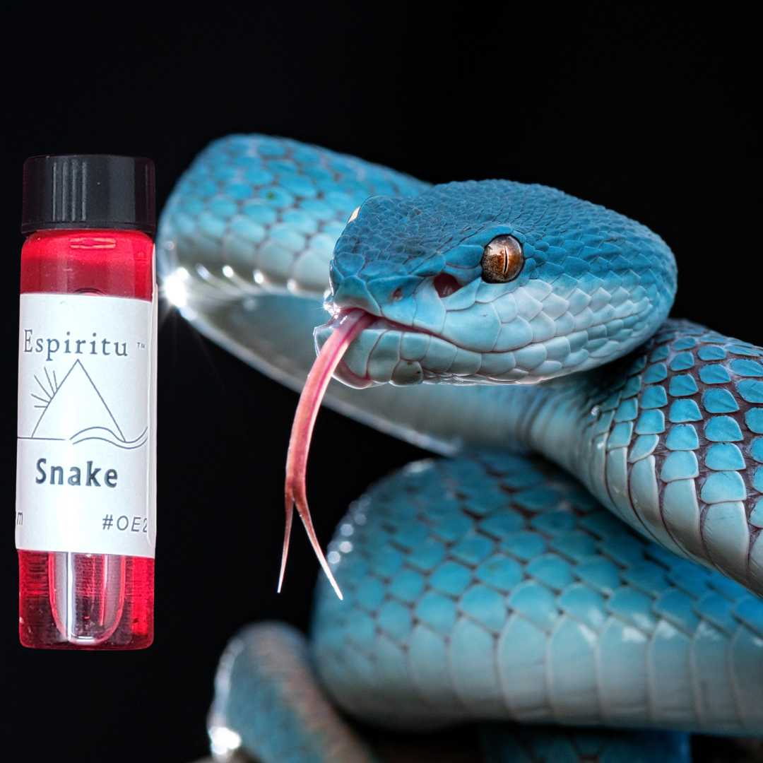 Snake Spell Oil