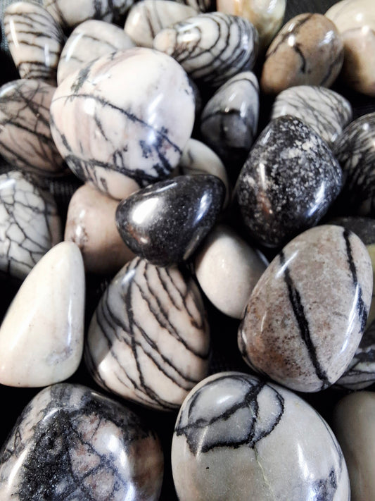 Spider Web Jasper (Tumbled)