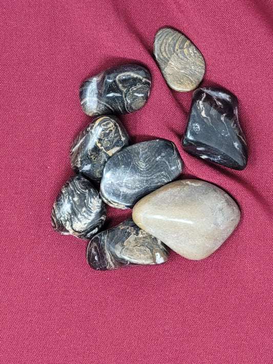 Stromatolite Tumbled