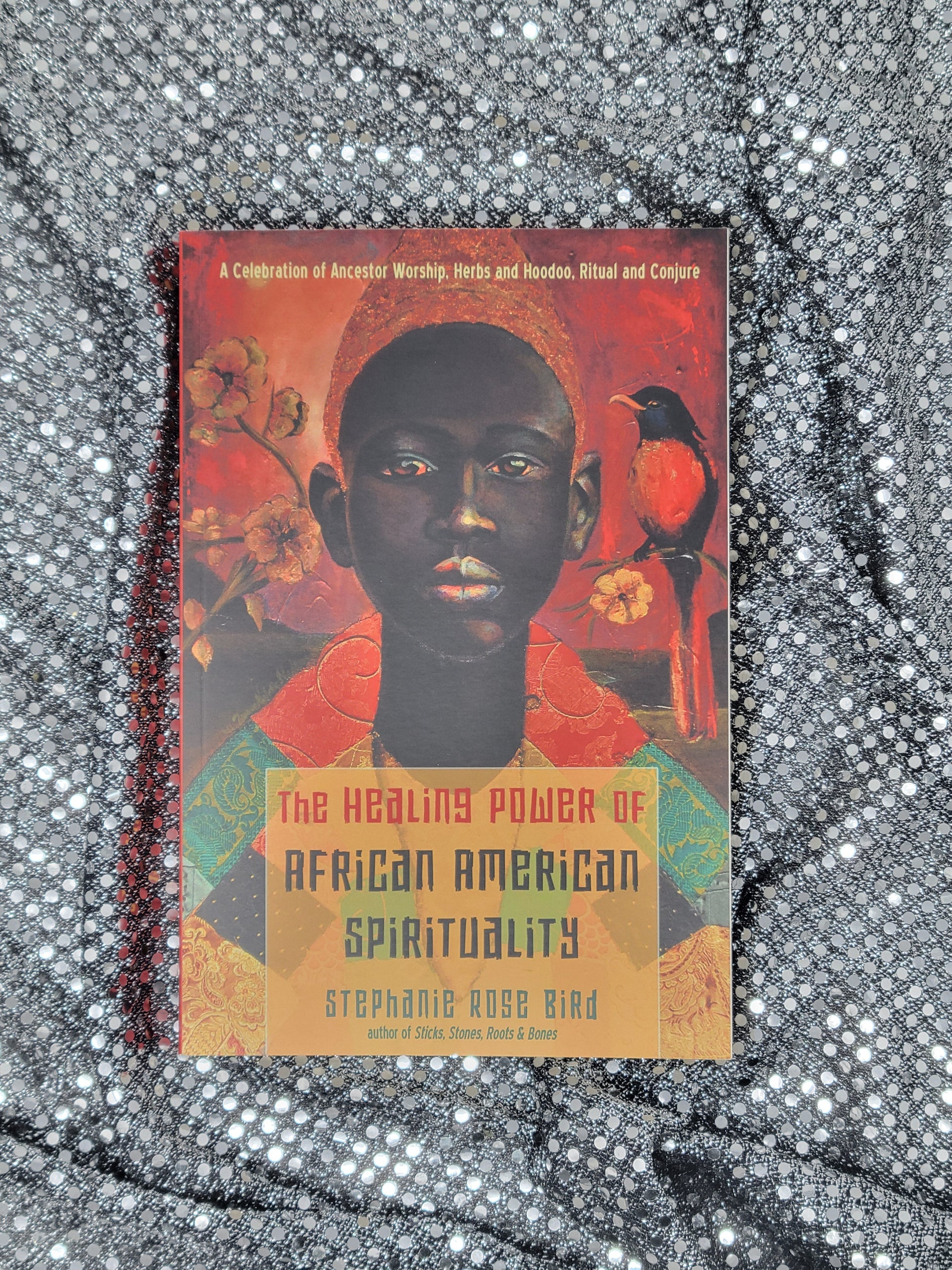 The Healing Power of African-American Spirituality A Celebration of Ancestor Worship, Herbs and Hoodoo, Ritual and Conjure - Stephanie Rose Bird
