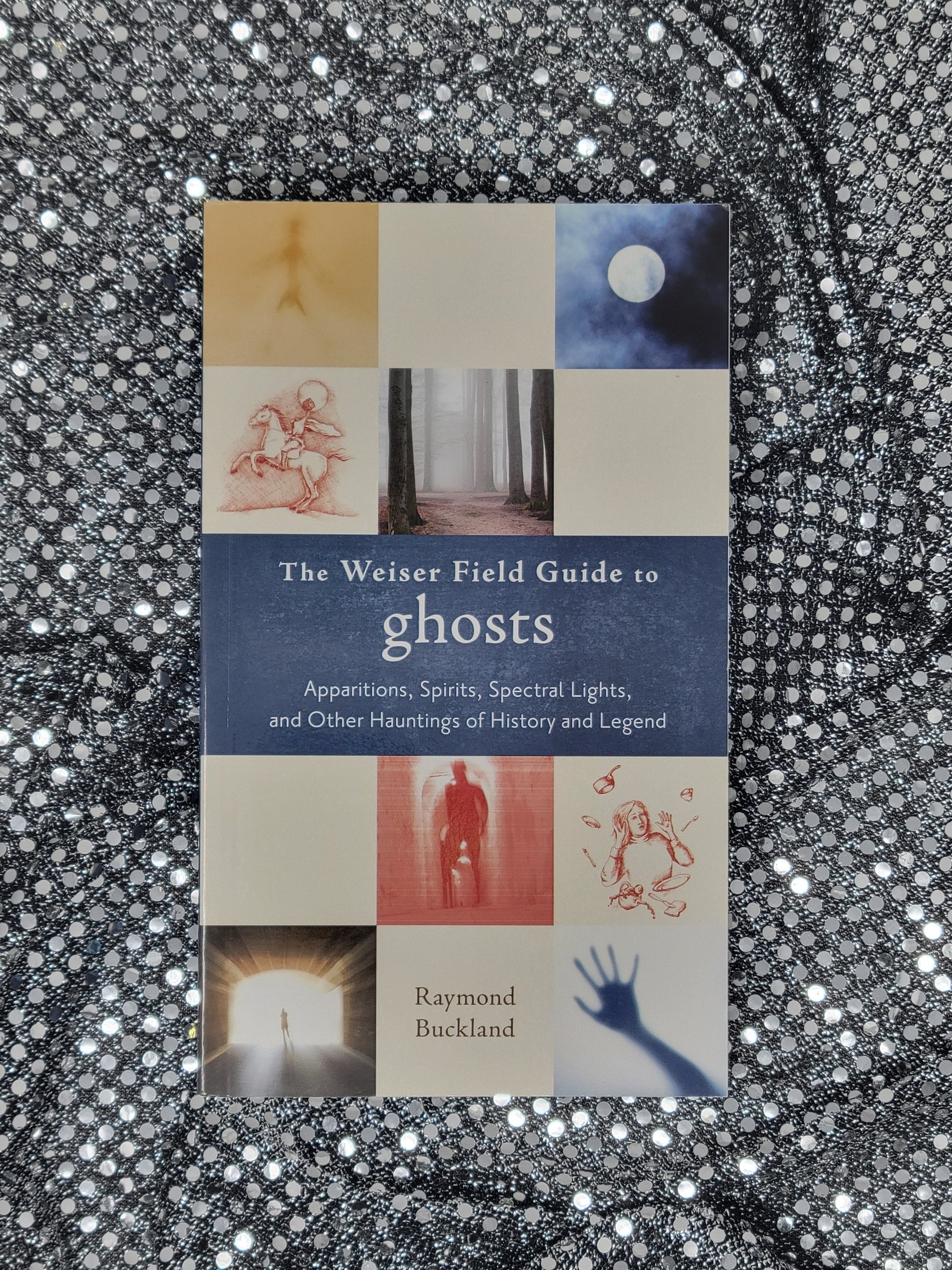 The Weiser Field Guide to Ghosts Apparitions, Spirits, Spectral Lights, and Other Hauntings of History and Legend - Raymond Buckland