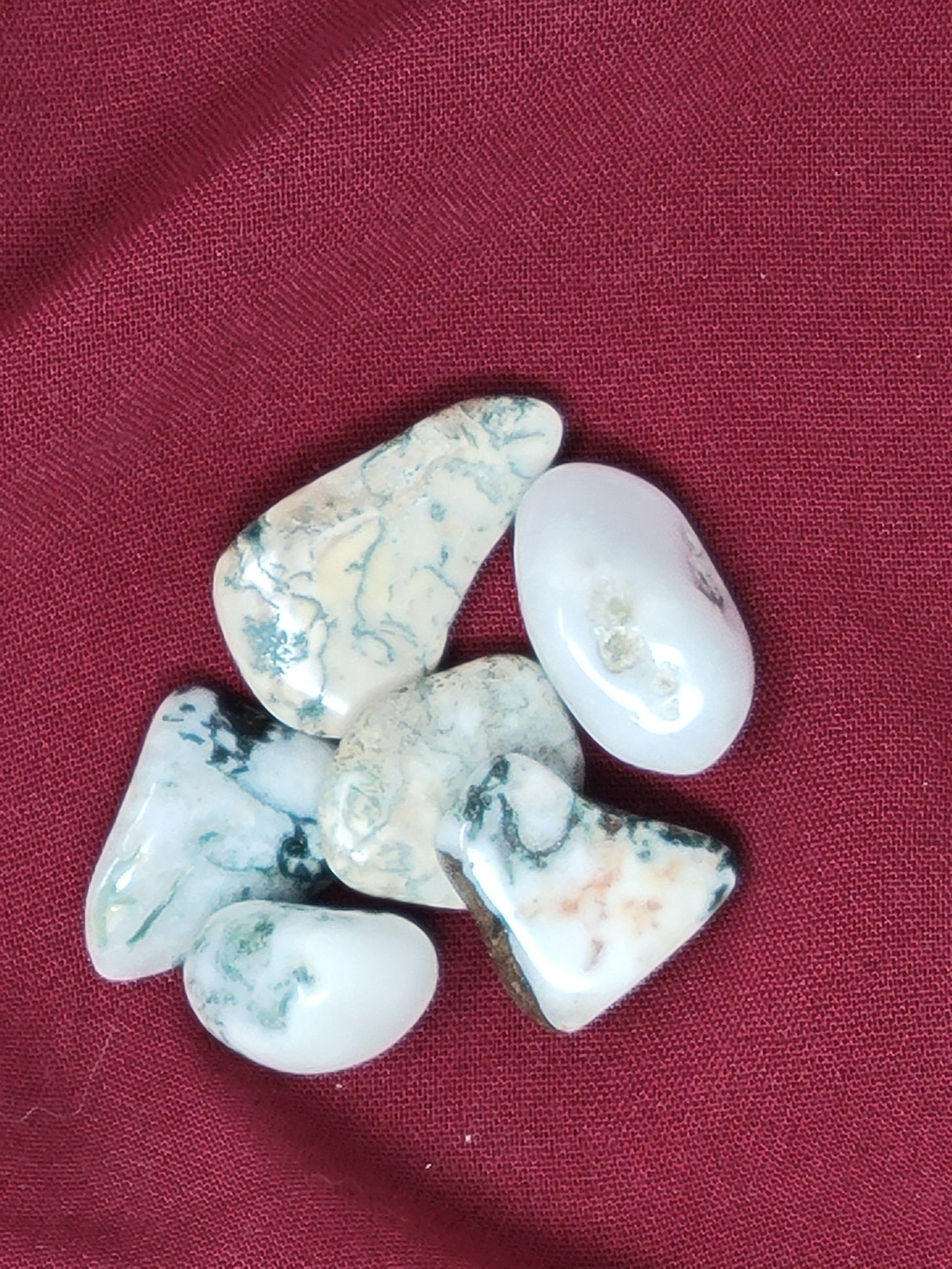 Tree Agate Tumbled