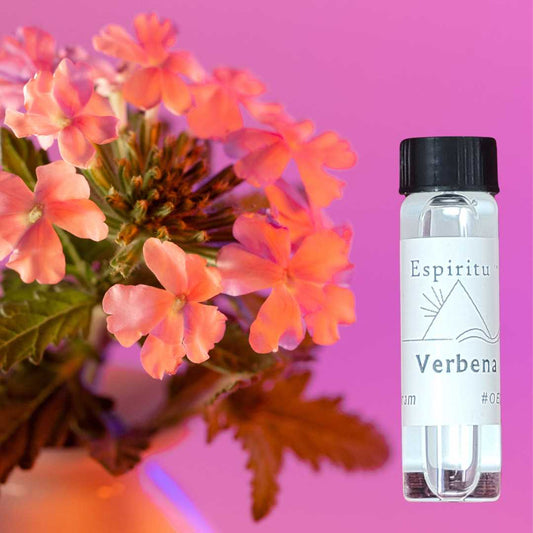 Verbena Spell Oil