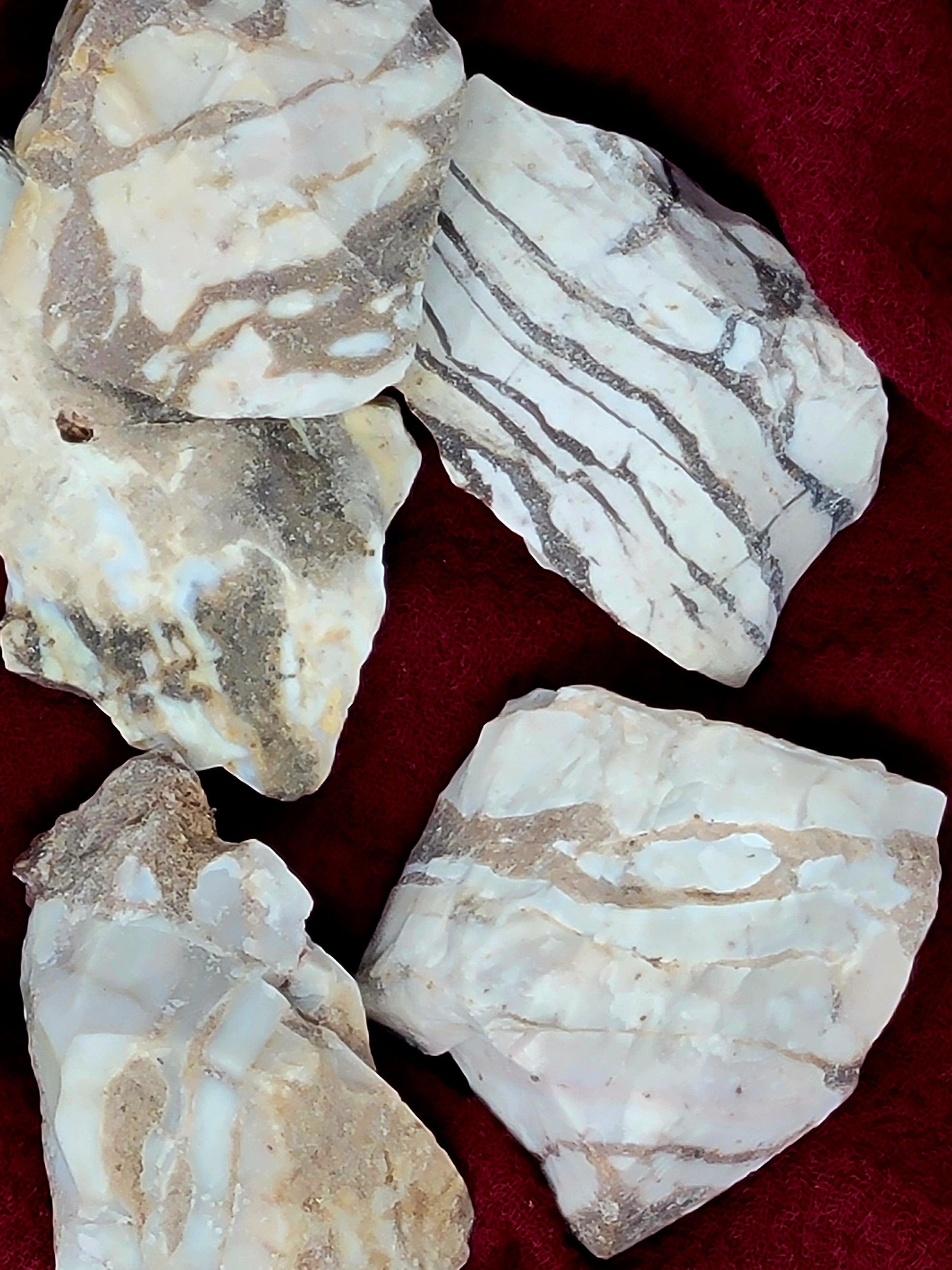 Zebra Jasper Natural