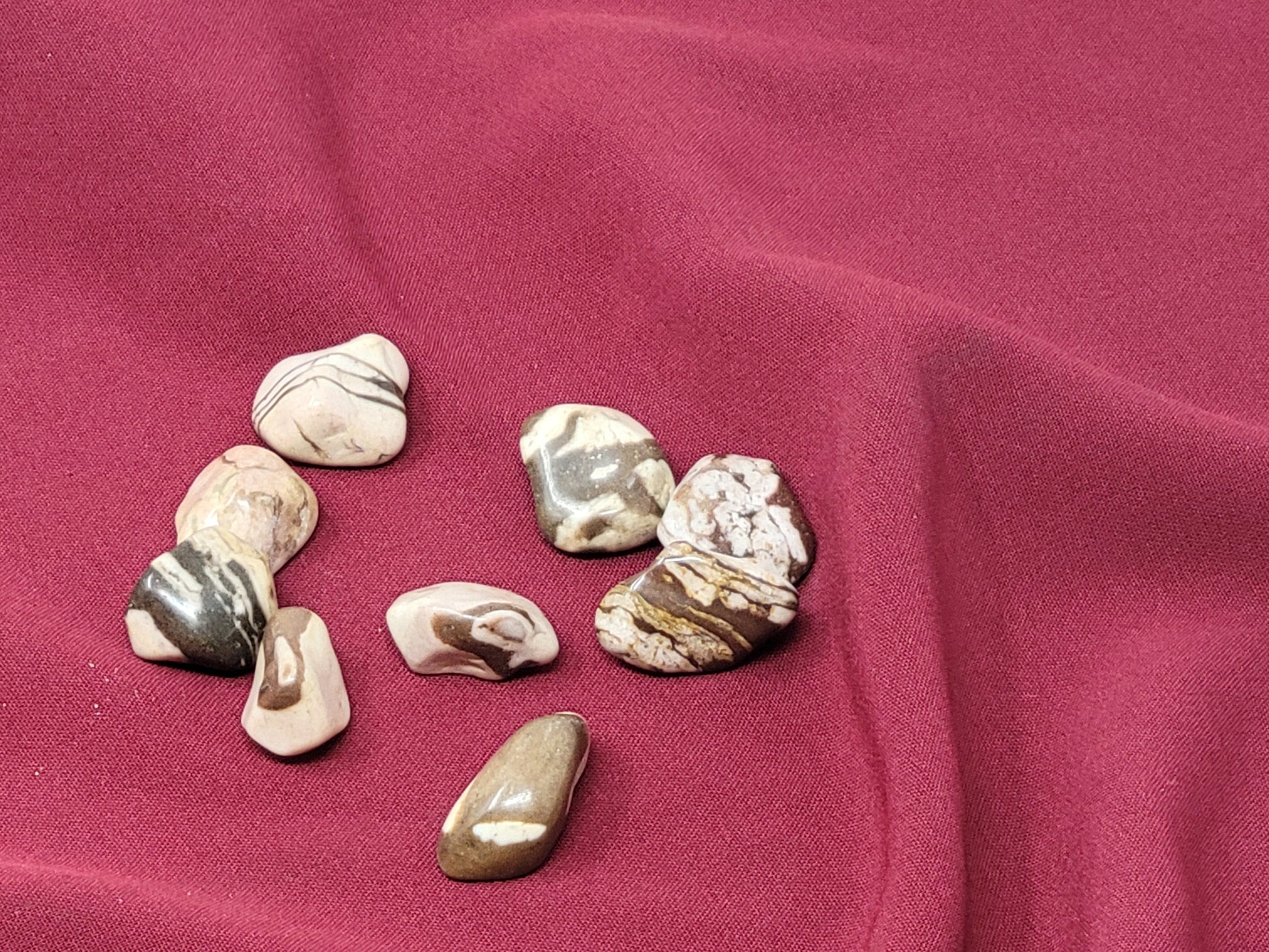 Zebra Jasper Small Tumbled