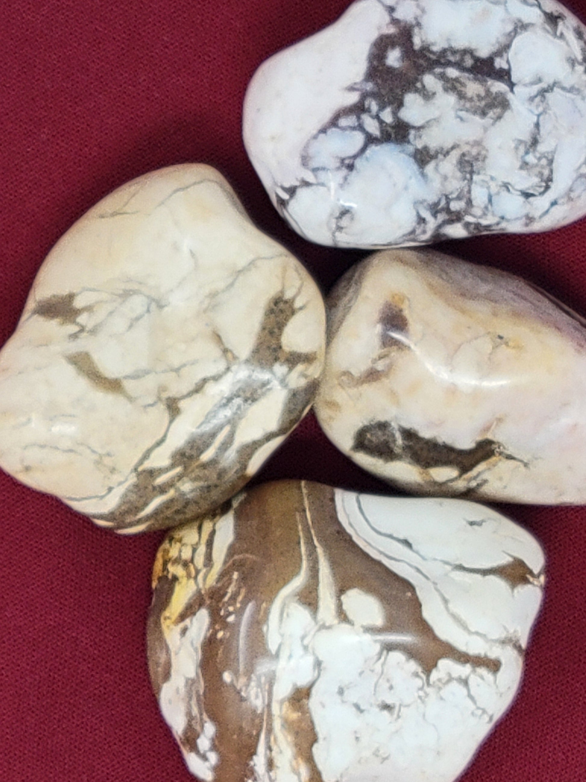 Zebra Jasper Tumbled