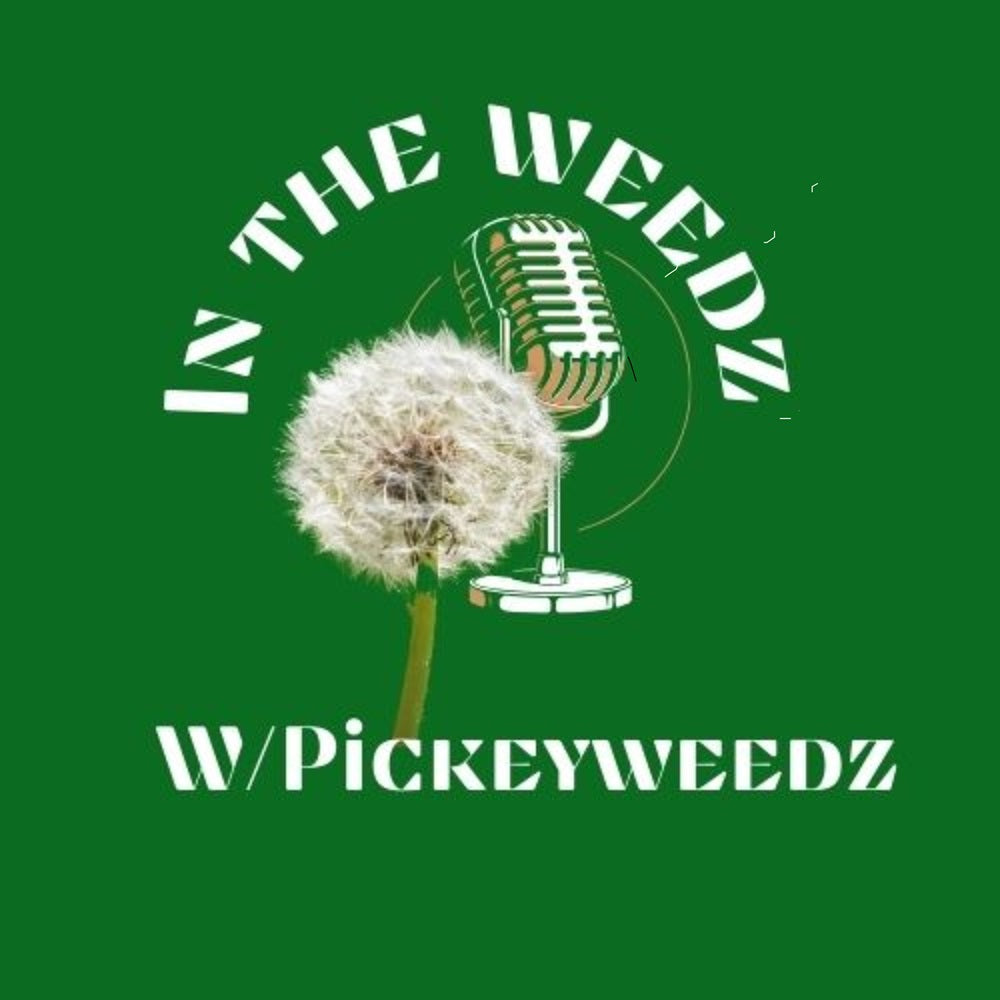in the weedz with pickeyweedz metaphysical store logo
