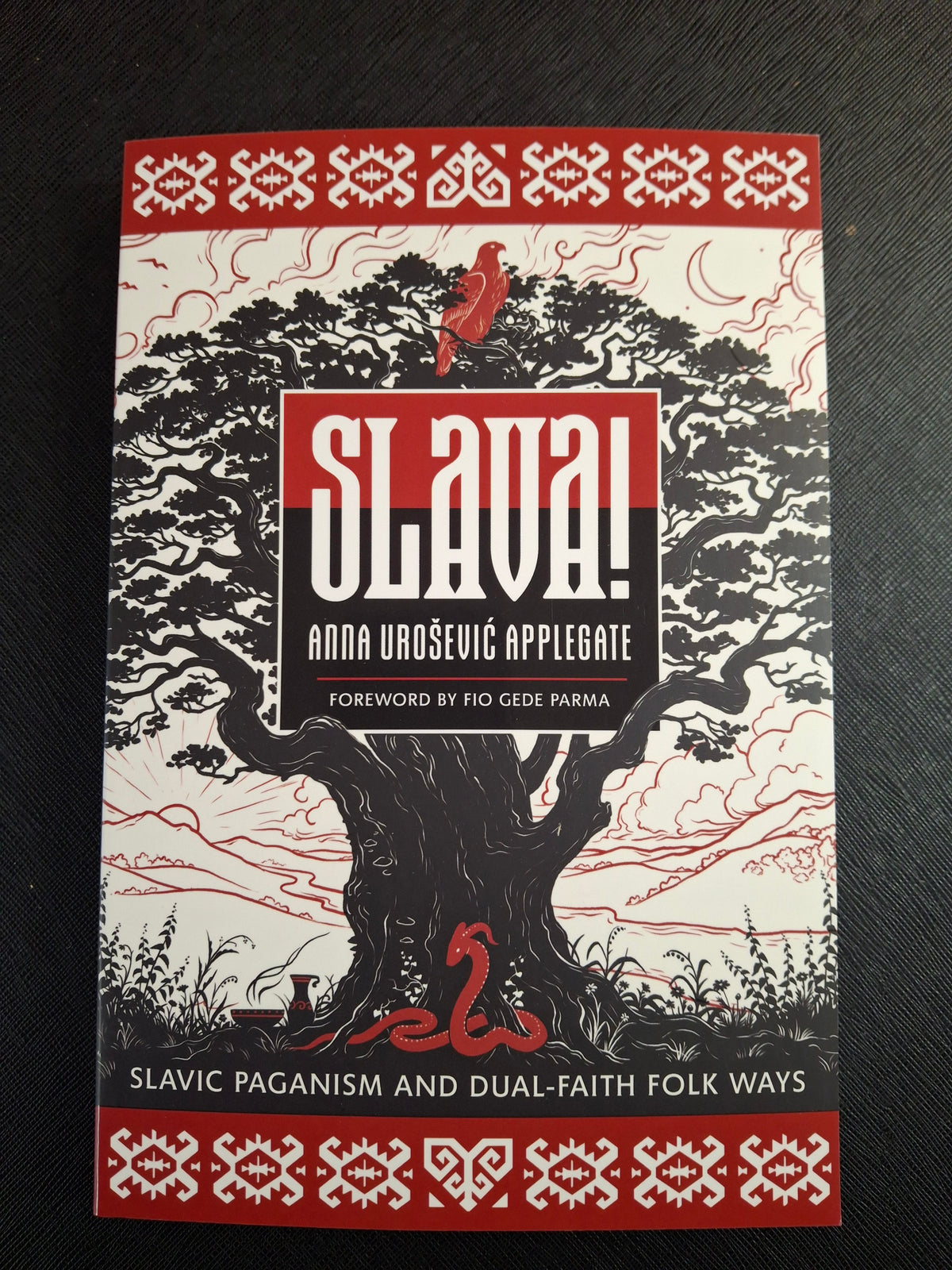 Slava!  by Anna Urošević Applegate (Author)